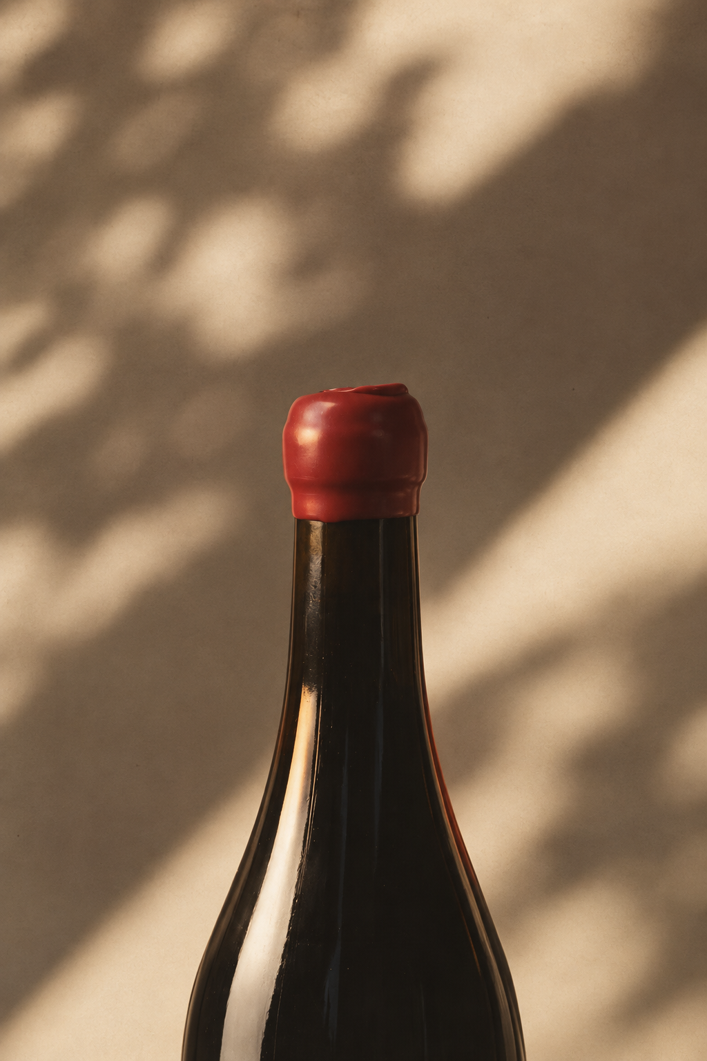 Dettaglio di chiusura in ceralacca per packaging di vino